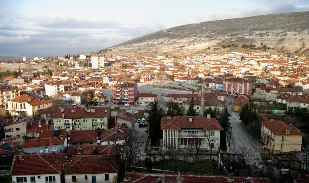 eskişehir seyitgazi ev taşıma